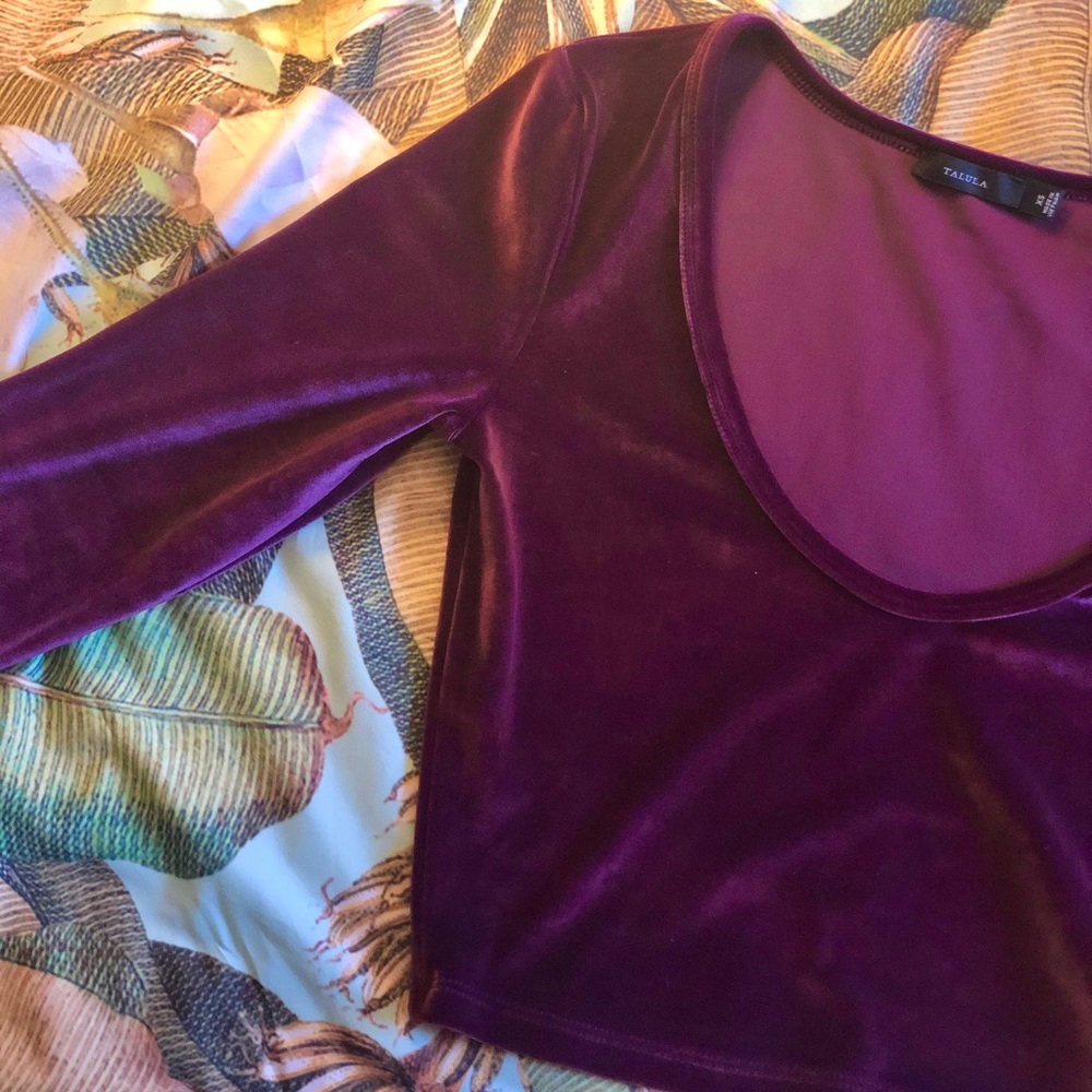 Aritzia Talula Velvet Long Sleeve Crop Top - Picture 2 of 8